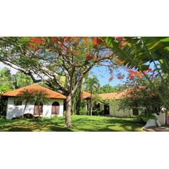 Villa in Cabarete (Cabarete) Dominican Republic area 346m² 1 floors