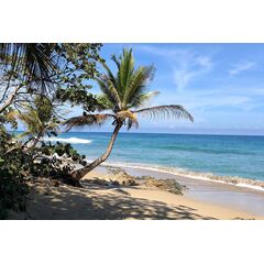 Villa in Cabarete (Cabarete) Dominican Republic area 190m² 1 floors