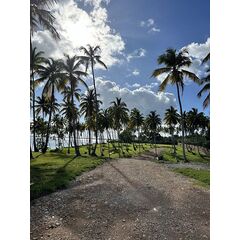 Land in Samana (Samana) Dominican Republic plot within city limits 600m² 