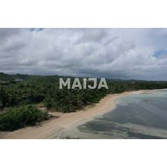 Land in Las Terrenas (Las Terrenas) Dominican Republic plot within city limits 5087m² 