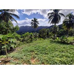 Land in Gaspar Hernandez (Gaspar Hernandez) Dominican Republic plot in the suburbs 17000m² 