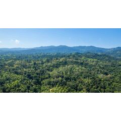 Land in San Felipe de Puerto Plata (Puerto Plata) Dominican Republic plot within city limits 70337m² 