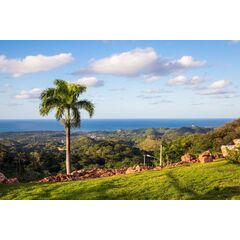 Land in Las Terrenas (Las Terrenas) Dominican Republic plot within city limits 15.3m² 