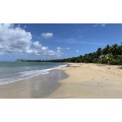 Land in Punta Cana (Punta Cana) Dominican Republic plot in the suburbs 380m² 