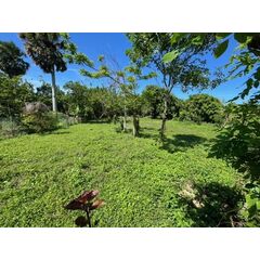 Land in Cabarete (Encuentro) Dominican Republic plot in the suburbs 914m² 
