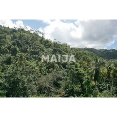 Land in Las Terrenas (Las Terrenas) Dominican Republic plot within city limits 10000m² 