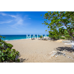 Land in Sosua (Sosua) Dominican Republic plot within city limits 320.89m² 