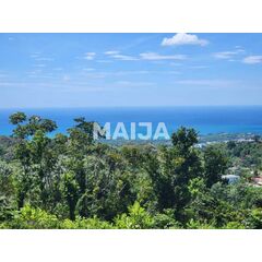 Land in Las Terrenas (Las Terrenas) Dominican Republic plot within city limits 981.21m² 