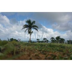 Land in Miches (Miches) Dominican Republic plot within city limits 2500m² 