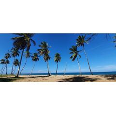 Land in Miches (Miches) Dominican Republic plot in the suburbs 3999m² 