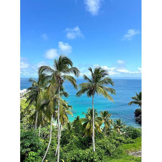 Apartment 2-room 1+1 in Samana (Samana) Dominican Republic area 80m² 1 floor