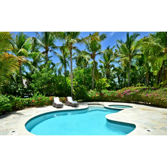 Villa in Punta Cana (Cap Cana) Dominican Republic area 580m² 1 floors, 2 image