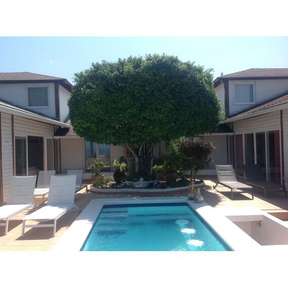 House in Rio San Juan (Rio San Juan) Dominican Republic area 380m² 2 floors, 4 image