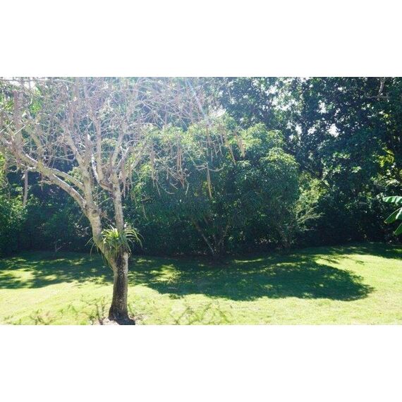 Villa in Sosua (Sosua) Dominican Republic area 225m² 2 floors, 10 image
