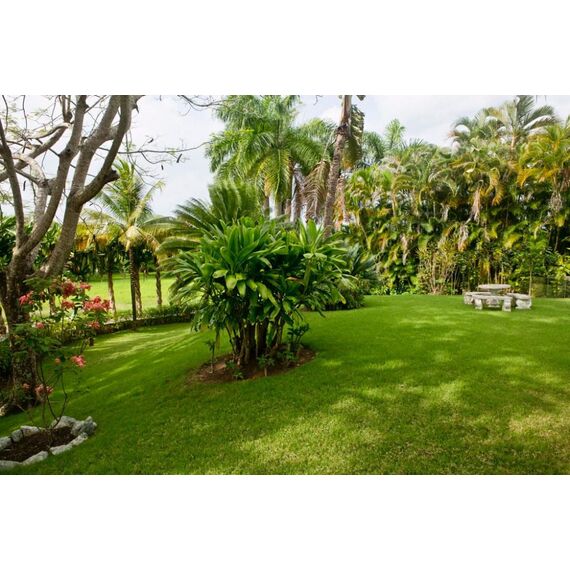 House in Sosua (Sosua) Dominican Republic area 540m² 2 floors, 12 image