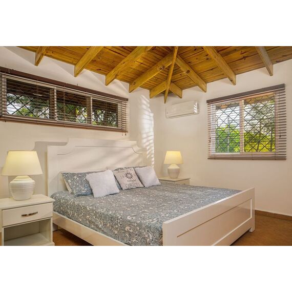 Villa in Sosua (Sosua) Dominican Republic area 235m² 1 floors, 9 image