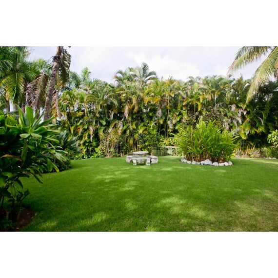 House in Sosua (Sosua) Dominican Republic area 540m² 2 floors, 11 image