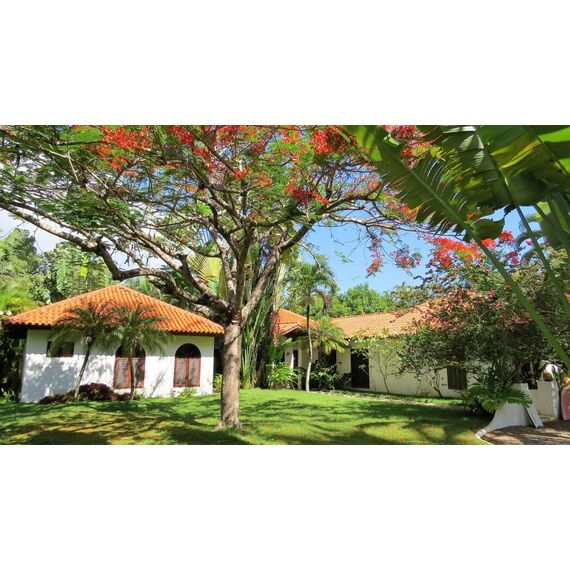 Villa in Cabarete (Cabarete) Dominican Republic area 346m² 1 floors