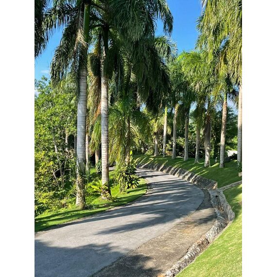Villa in Samana (Samana) Dominican Republic area 550m² 2 floors, 9 image
