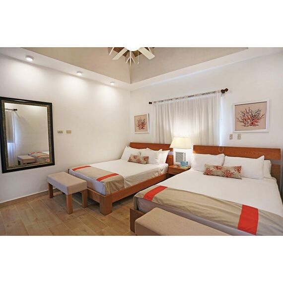 Villa in Sosua (Sosua) Dominican Republic area 220m² 1 floors, 13 image