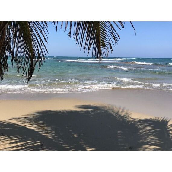 Land in Cabarete (Cabarete) Dominican Republic plot within city limits 874m² , 4 image