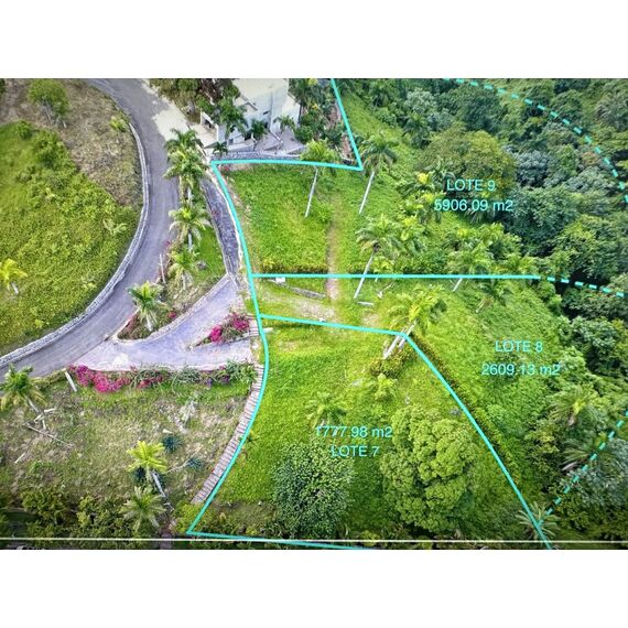 Land in Las Terrenas (Las Terrenas) Dominican Republic plot within city limits 15.3m² , 9 image