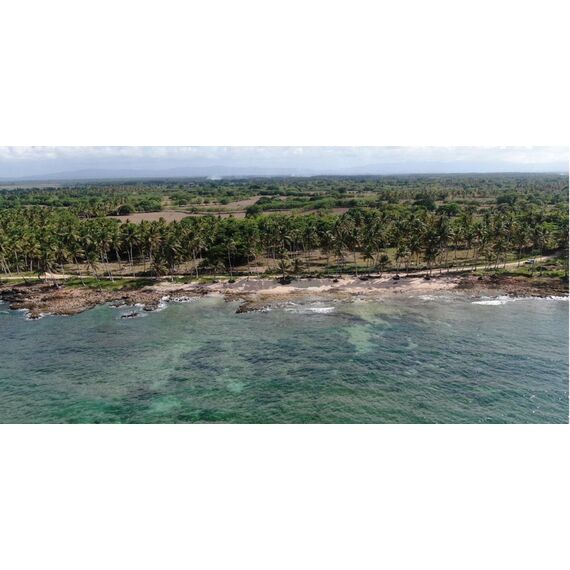 Land in Cabrera (Cabrera) Dominican Republic plot in the village 30996m² , 5 image