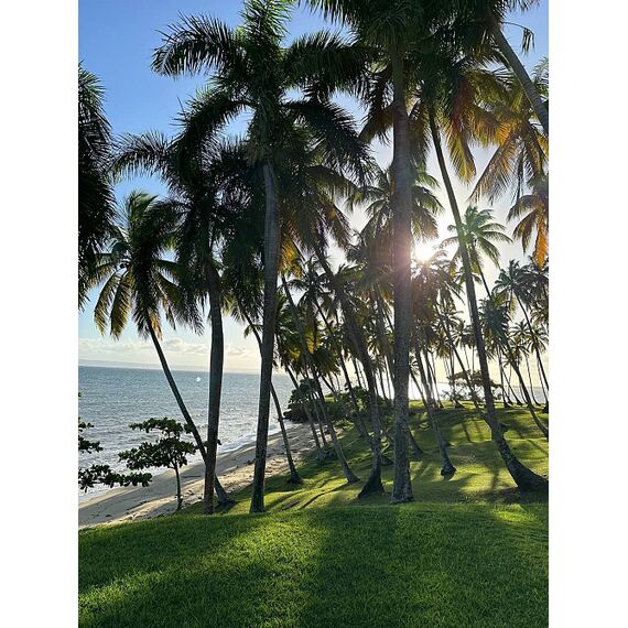 Land in Samana (Samana) Dominican Republic plot within city limits 600m² , 10 image