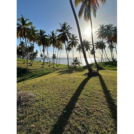 Land in Samana (Samana) Dominican Republic plot within city limits 600m² , 3 image