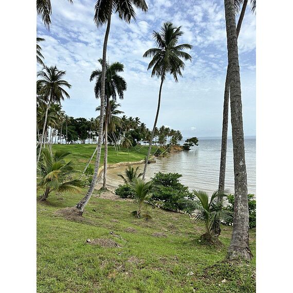 Land in Samana (Samana) Dominican Republic plot within city limits 600m² , 7 image