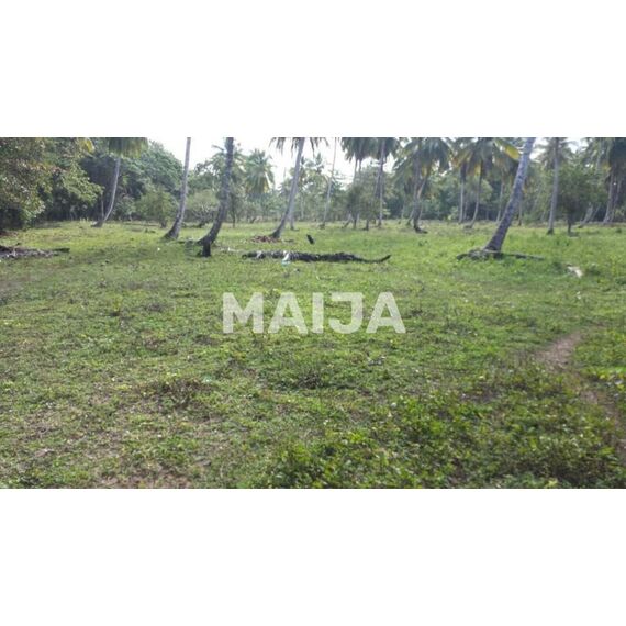 Land in Miches (Miches) Dominican Republic plot in the village 39000m² , 5 image
