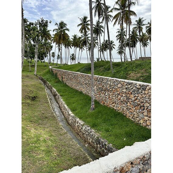 Land in Samana (Samana) Dominican Republic plot within city limits 600m² , 8 image