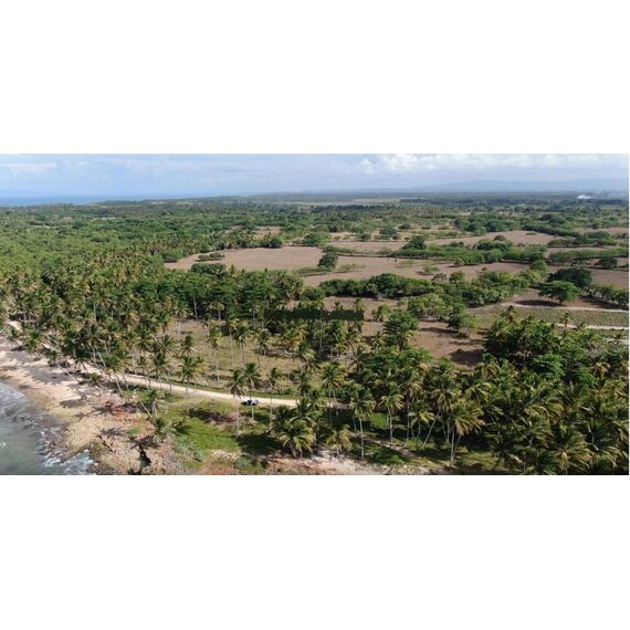 Land in Cabrera (Cabrera) Dominican Republic plot in the village 30996m² , 4 image