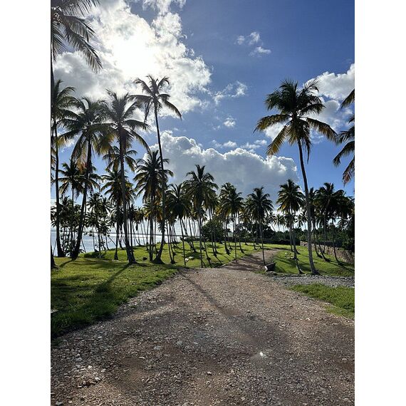 Land in Samana (Samana) Dominican Republic plot within city limits 600m² 