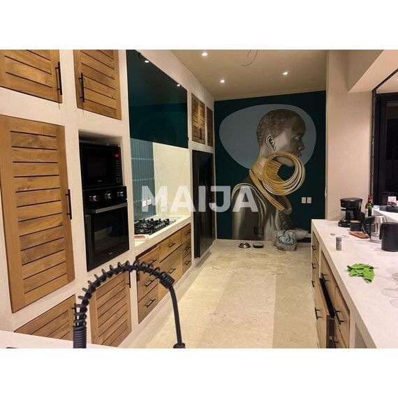 Villa in Las Terrenas (Las Terrenas) Dominican Republic area 950m² 3 floors, 15 image