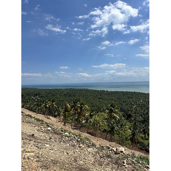 Land in Samana (Samana) Dominican Republic plot within city limits 500m² , 5 image