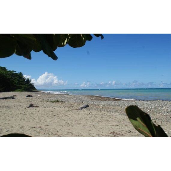 Land in Gaspar Hernandez (Gaspar Hernandez) Dominican Republic plot within city limits 4250m² , 4 image