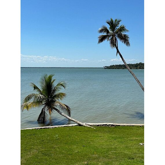 Land in Samana (Samana) Dominican Republic plot within city limits 600m² , 2 image