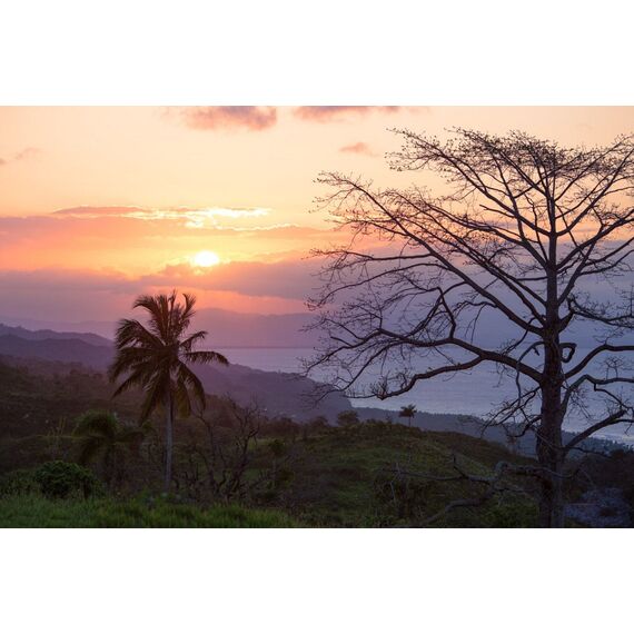 Land in Las Terrenas (Las Terrenas) Dominican Republic plot within city limits 15.3m² , 6 image