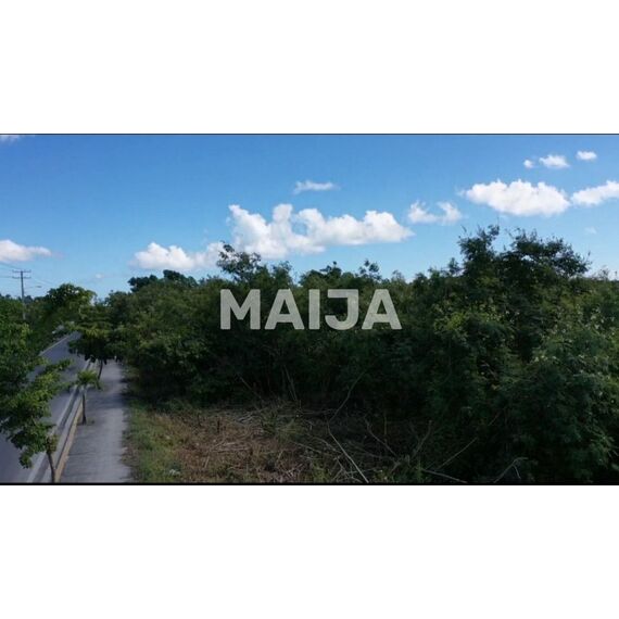 Land in Punta Cana (Punta Cana) Dominican Republic plot within city limits 57345.74m² , 3 image