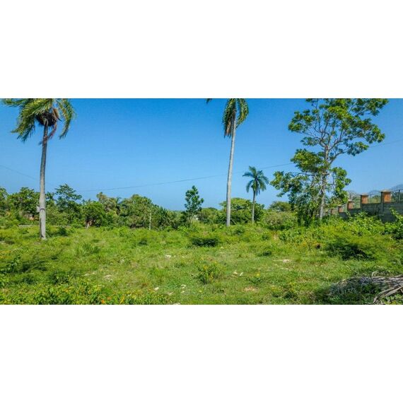 Land in Sosua (Sosua) Dominican Republic plot in the suburbs 3000m² , 2 image