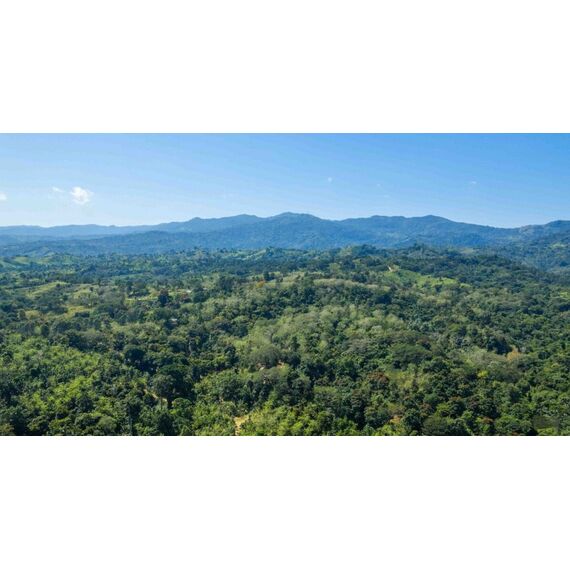 Land in San Felipe de Puerto Plata (Puerto Plata) Dominican Republic plot within city limits 70337m² 