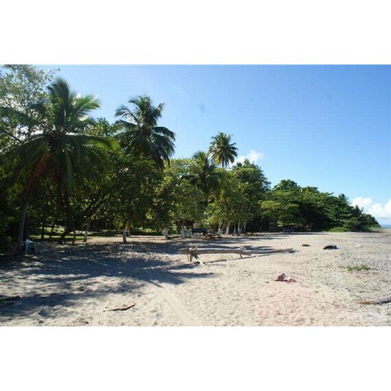 Land in Gaspar Hernandez (Gaspar Hernandez) Dominican Republic plot within city limits 4250m² , 5 image