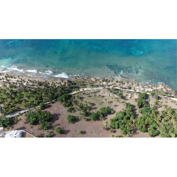 Land in Cabrera (Cabrera) Dominican Republic plot in the village 30996m² , 3 image