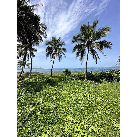 Land in Samana (Samana) Dominican Republic plot in the suburbs 850m² , 2 image