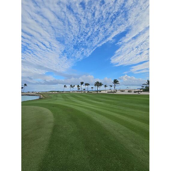 Land in Punta Cana (Cap Cana) Dominican Republic plot within city limits 2464m² , 4 image