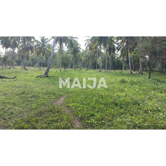 Land in Miches (Miches) Dominican Republic plot in the village 39000m² , 6 image