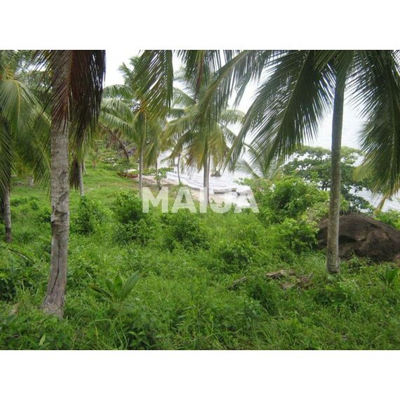 Land in Miches (Miches) Dominican Republic plot in the village 7441106.9m² , 8 image
