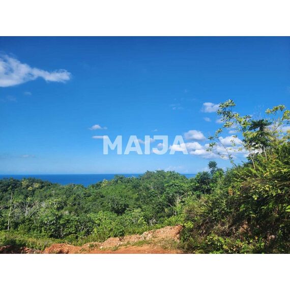 Land in Las Terrenas (Las Terrenas) Dominican Republic plot within city limits 2415m² , 4 image