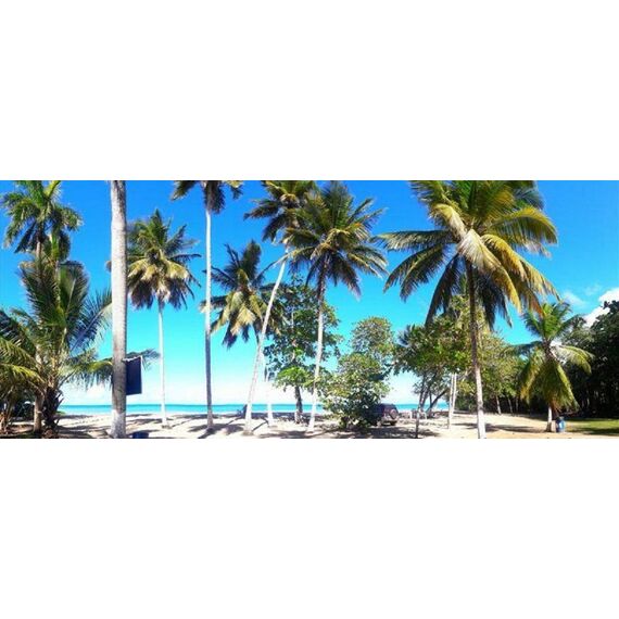 Land in Gaspar Hernandez (Gaspar Hernandez) Dominican Republic plot within city limits 4250m² , 7 image